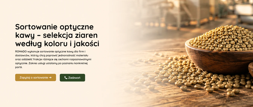 redesign strony internetowej