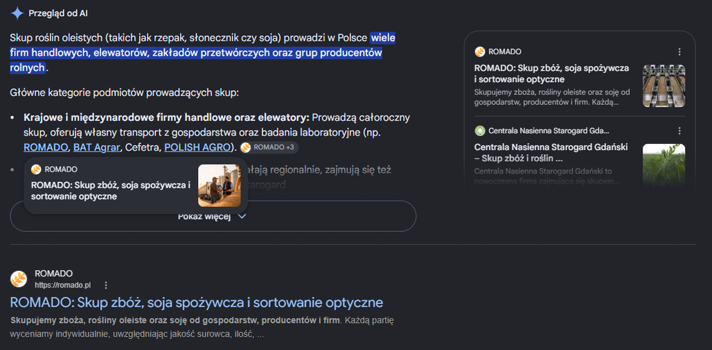 Prezentacja GEO i cytowania firmy w organicznych wynikasz wyszukiwania z uwzględnieniem AI